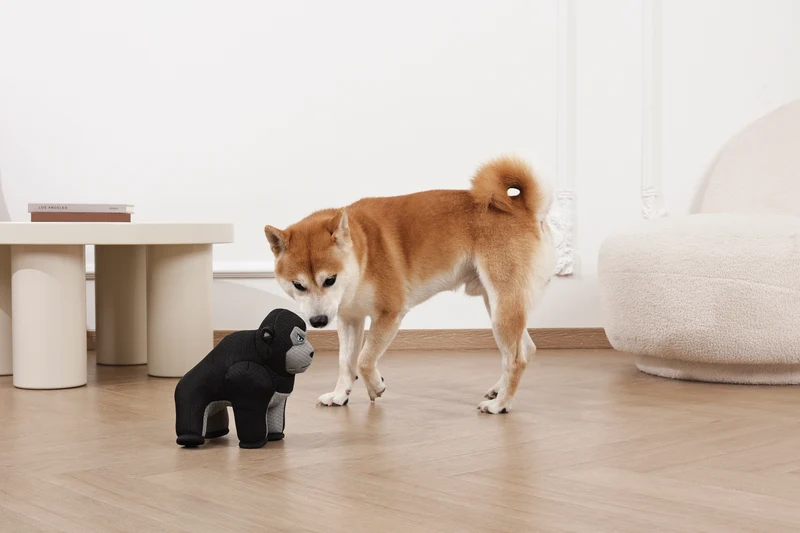MEGA Dog toy Ape