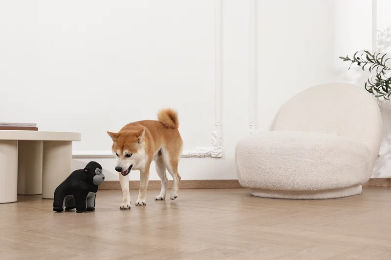 MEGA Dog toy Ape