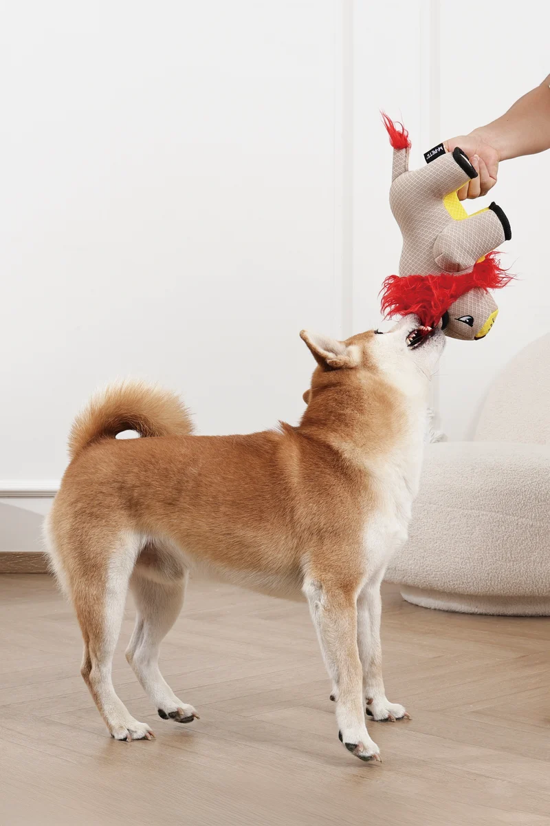 MEGA Dog toy Lion