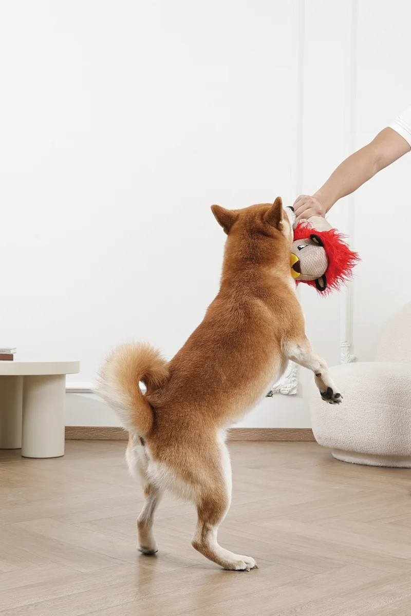 MEGA Dog toy Lion