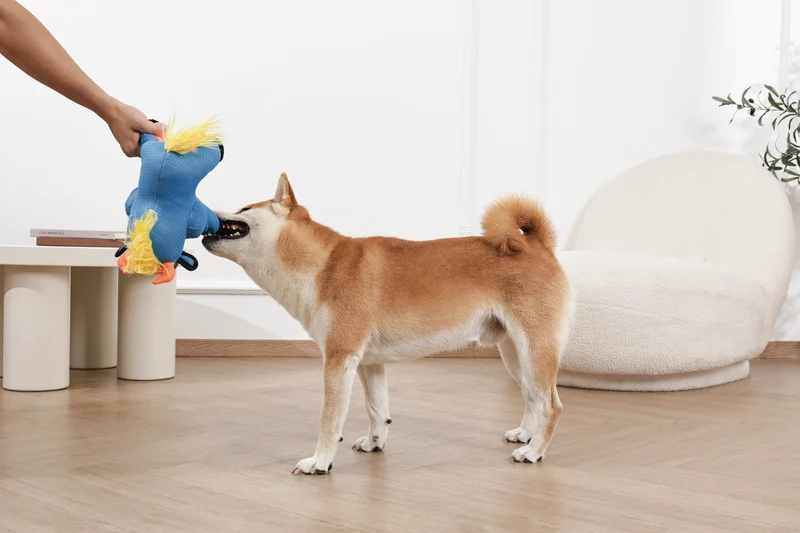 MEGA Dog toy Gnu