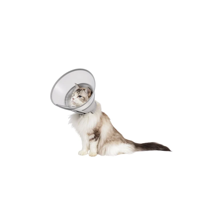 PROCARE Cone Collar