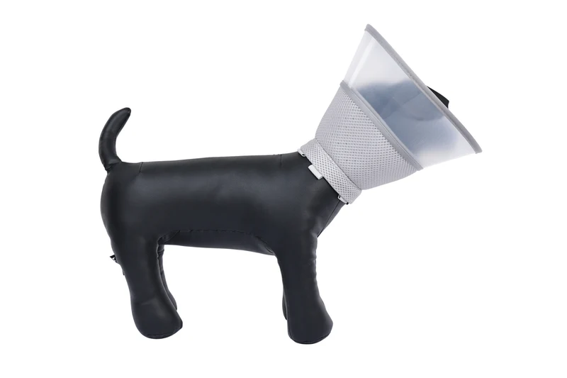 PROCARE Cone Collar