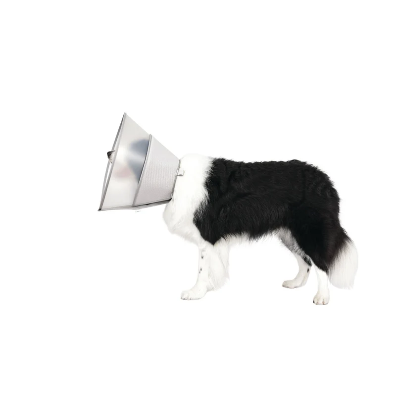 PROCARE Cone Collar