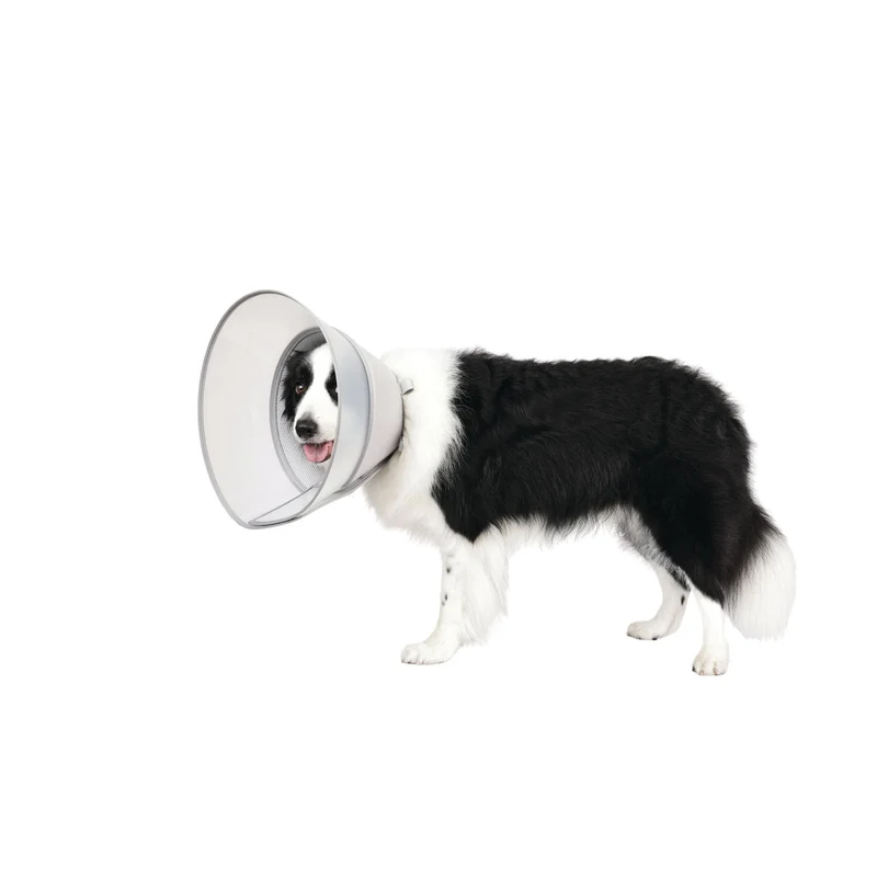 PROCARE Cone Collar