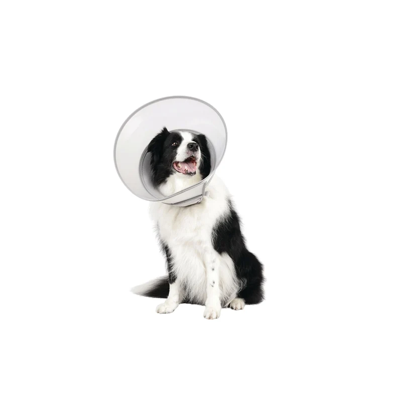 PROCARE Cone Collar