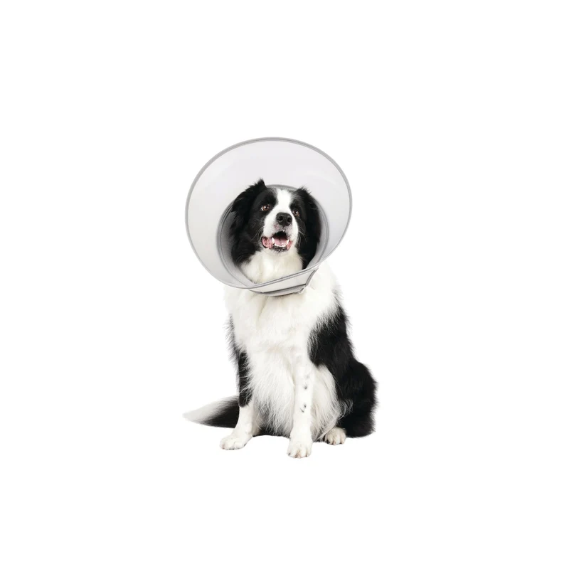 PROCARE Cone Collar