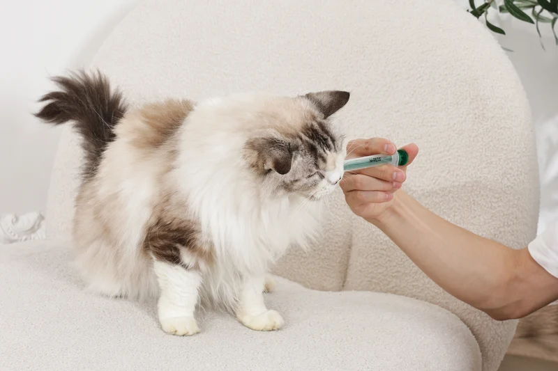 PROCARE medicine feeder set - 2pcs