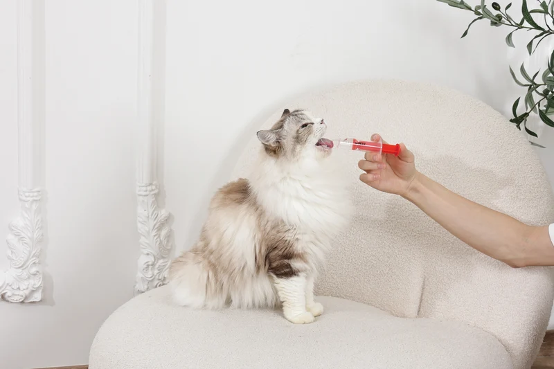 PROCARE medicine feeder set - 2pcs