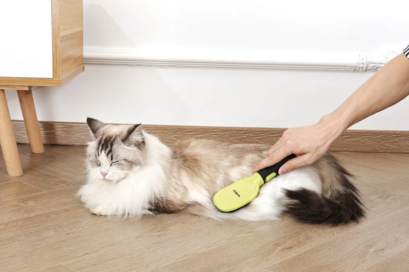 CLICK and GROOM Bristle Brush