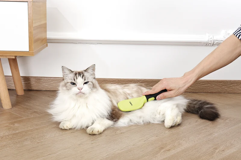 CLICK and GROOM Bristle Brush