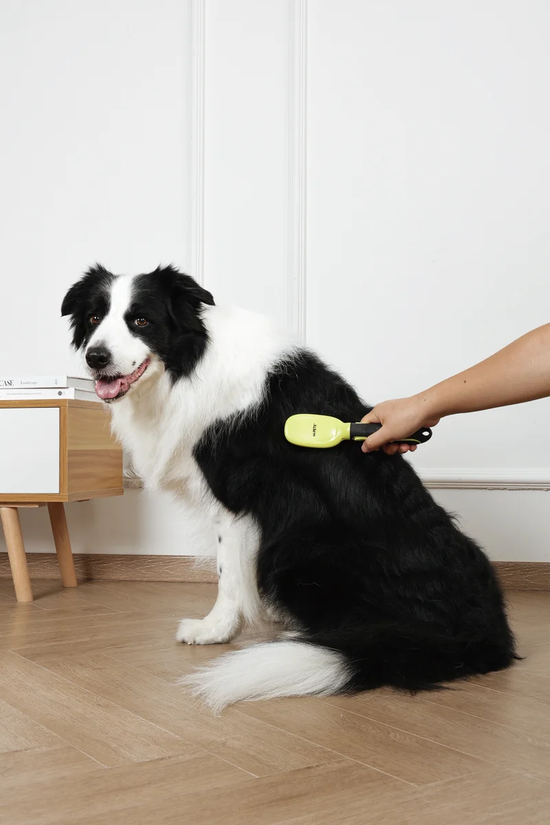 CLICK and GROOM Bristle Brush