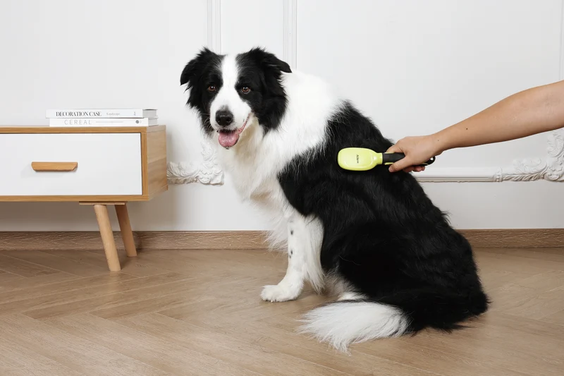 CLICK and GROOM Bristle Brush