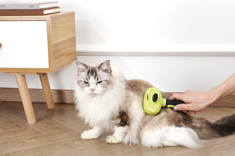 CLICK and GROOM 1-click Cleaning Pin