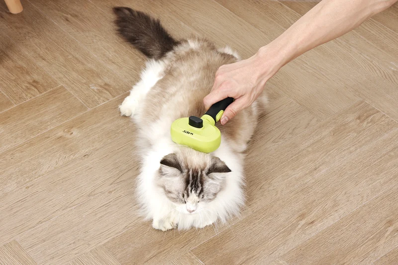CLICK and GROOM 1-click Cleaning Pin