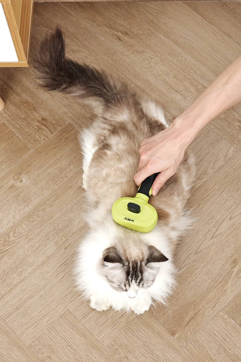 CLICK and GROOM 1-click Cleaning Pin