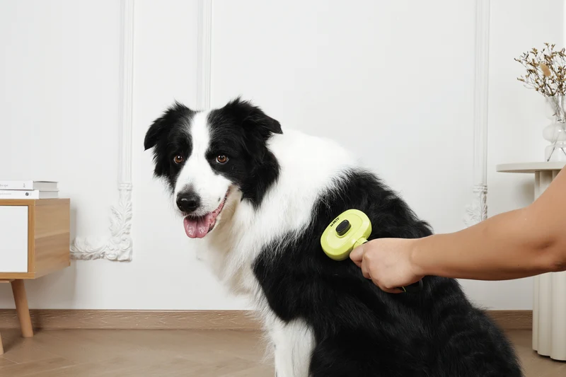 CLICK and GROOM 1-click Cleaning Pin