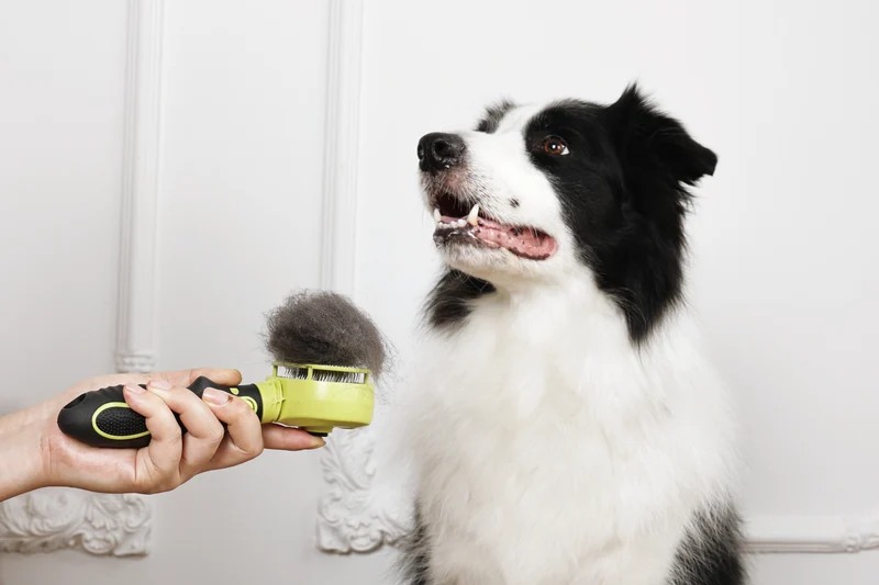 CLICK and GROOM 1-click Cleaning Pin