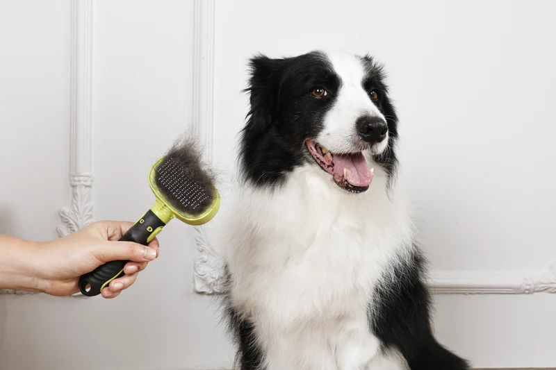 CLICK and GROOM 1-click Cleaning Pin