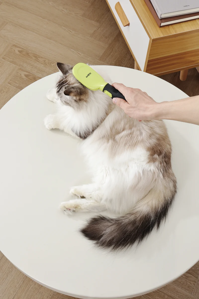 CLICK and GROOM Pin Brush