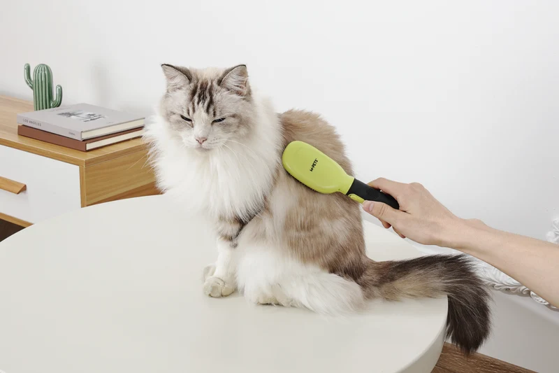 CLICK and GROOM Pin Brush