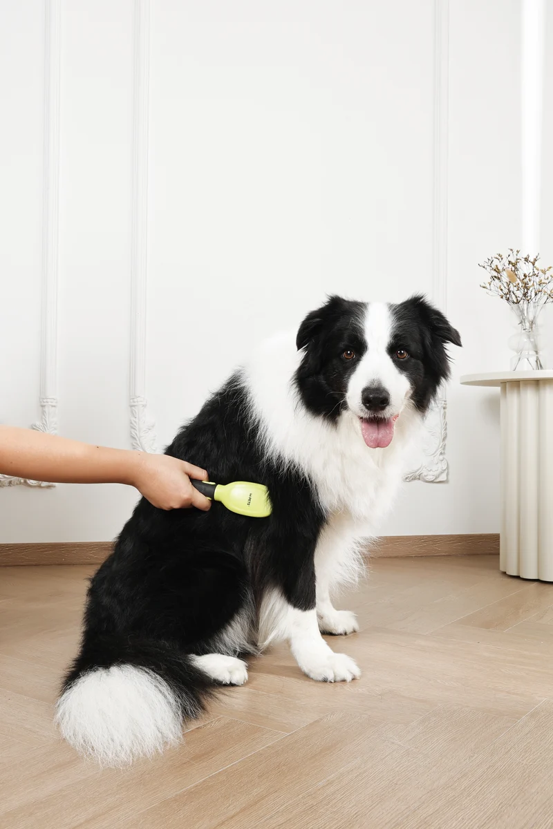CLICK and GROOM Pin Brush