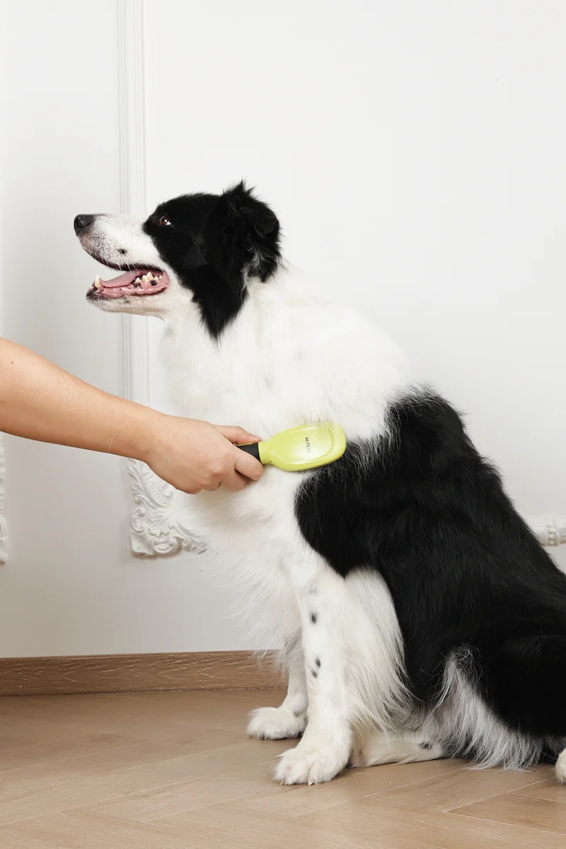 CLICK and GROOM Pin Brush