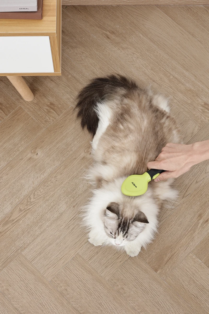 CLICK and GROOM Slicker Brush