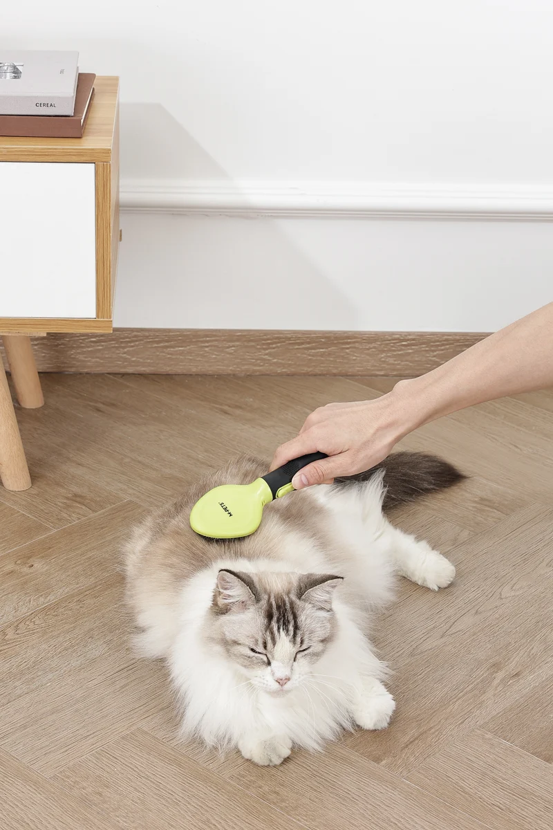 CLICK and GROOM Slicker Brush