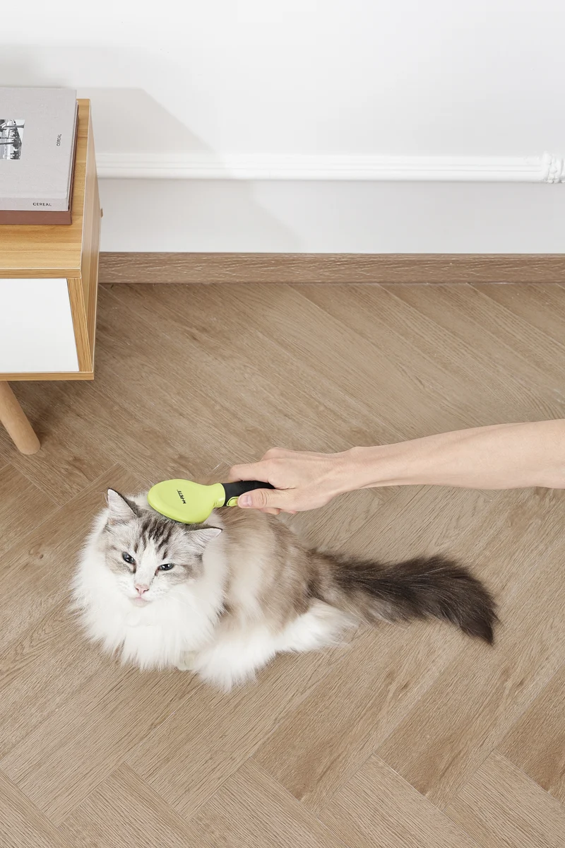 CLICK and GROOM Slicker Brush