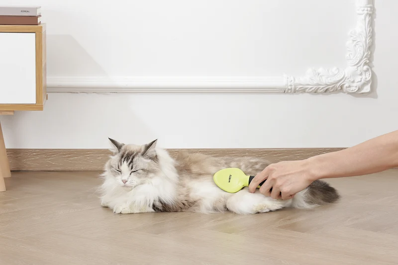 CLICK and GROOM Slicker Brush