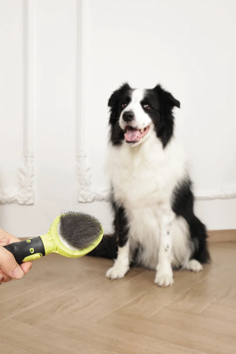 CLICK and GROOM Slicker Brush