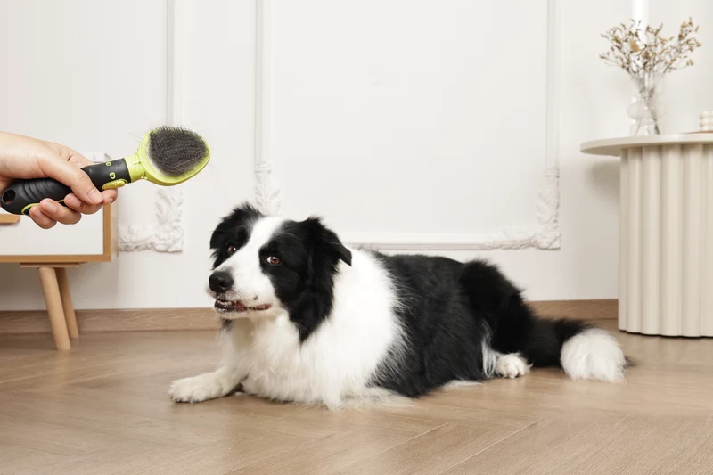 CLICK and GROOM Slicker Brush