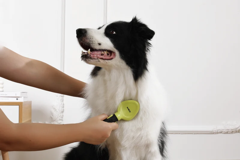 CLICK and GROOM Slicker Brush