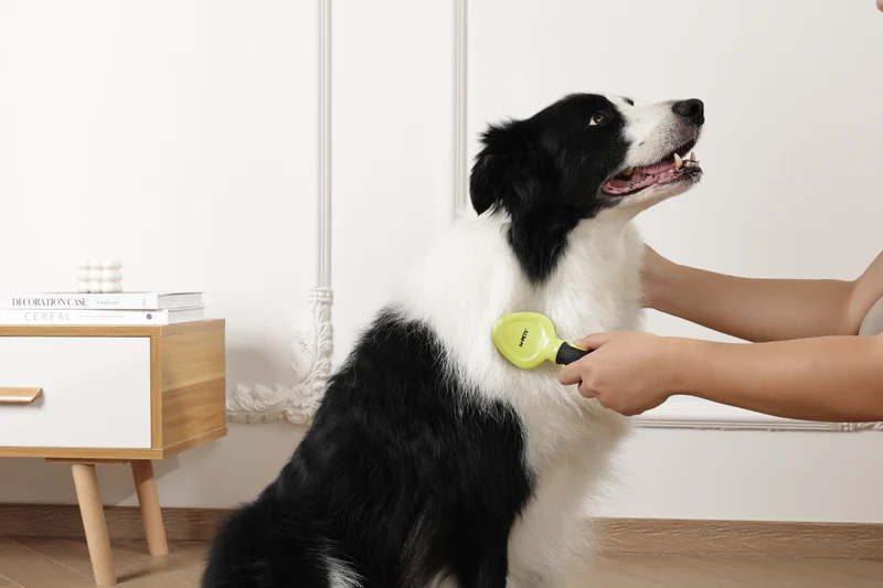 CLICK and GROOM Slicker Brush