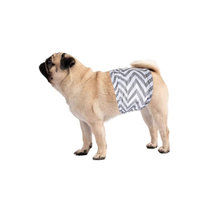 Male Dog Washable Diaper 2pcs