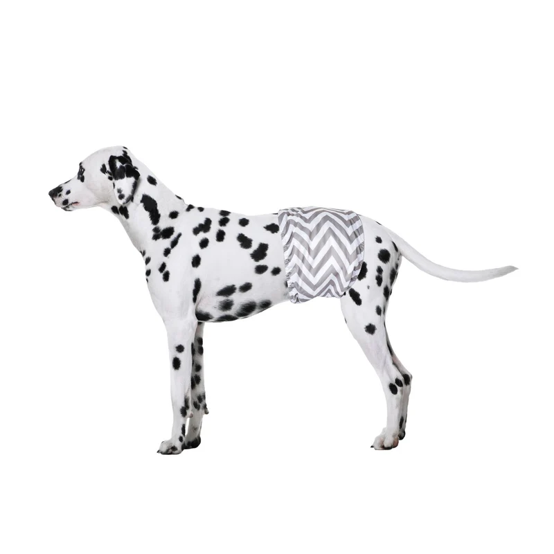 Male Dog Washable Diaper 2pcs