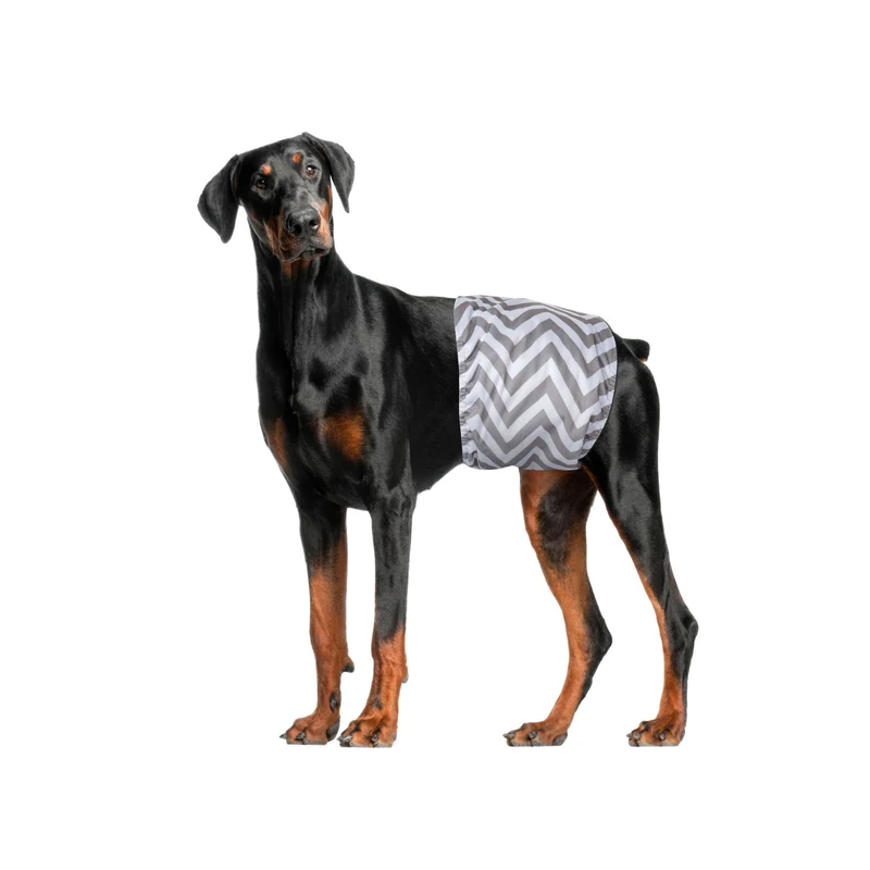 Male Dog Washable Diaper 2pcs