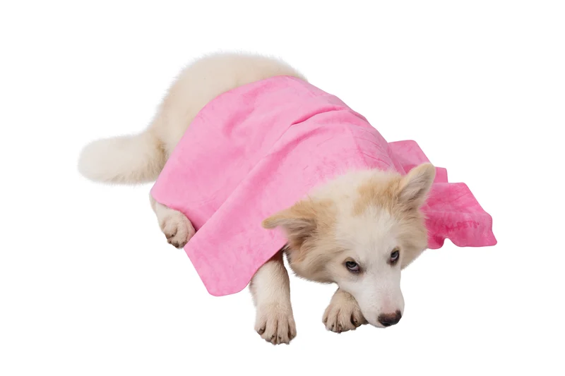 BATHTIME Quick-dry Towel for Cats and Dogs Pink Bubble