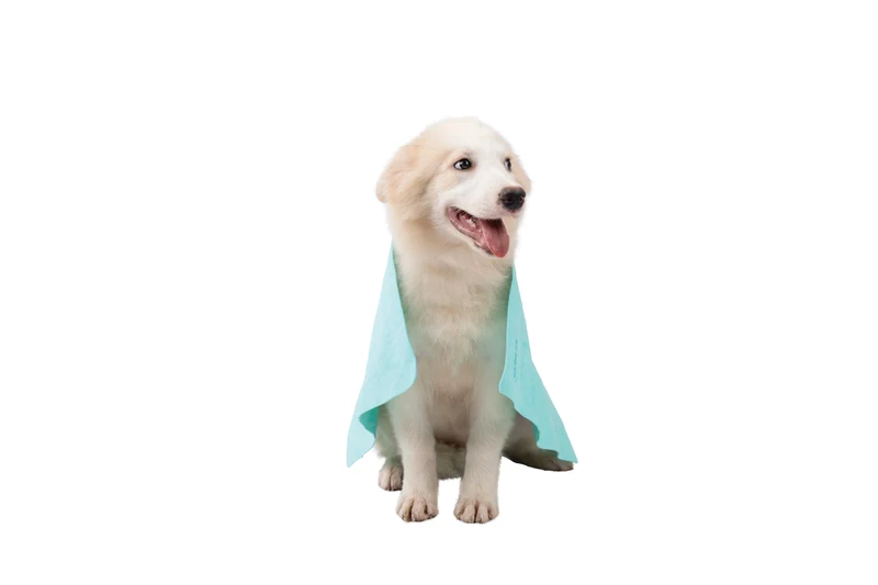 BATHTIME Quick-dry Towel for Cats and Dogs Green Bubble