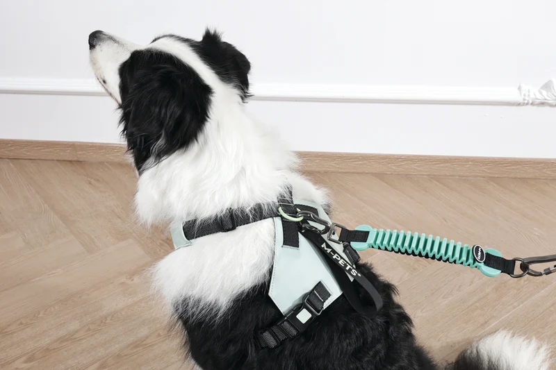 ORIGAMI Dog Harness leafy crease