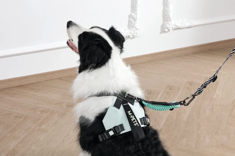 ORIGAMI Dog Harness leafy crease