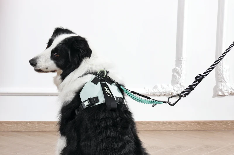 ORIGAMI Dog Harness leafy crease