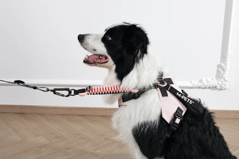 ORIGAMI Dog Harness cherry fold