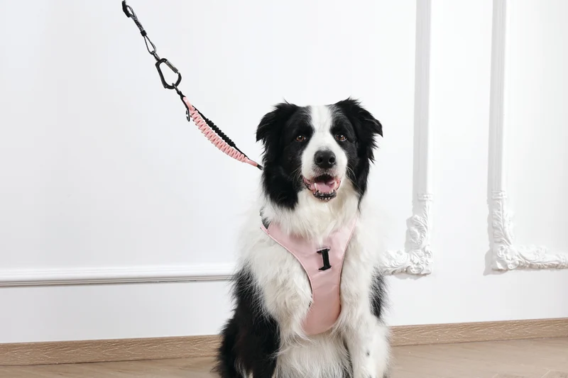 ORIGAMI Dog Harness cherry fold