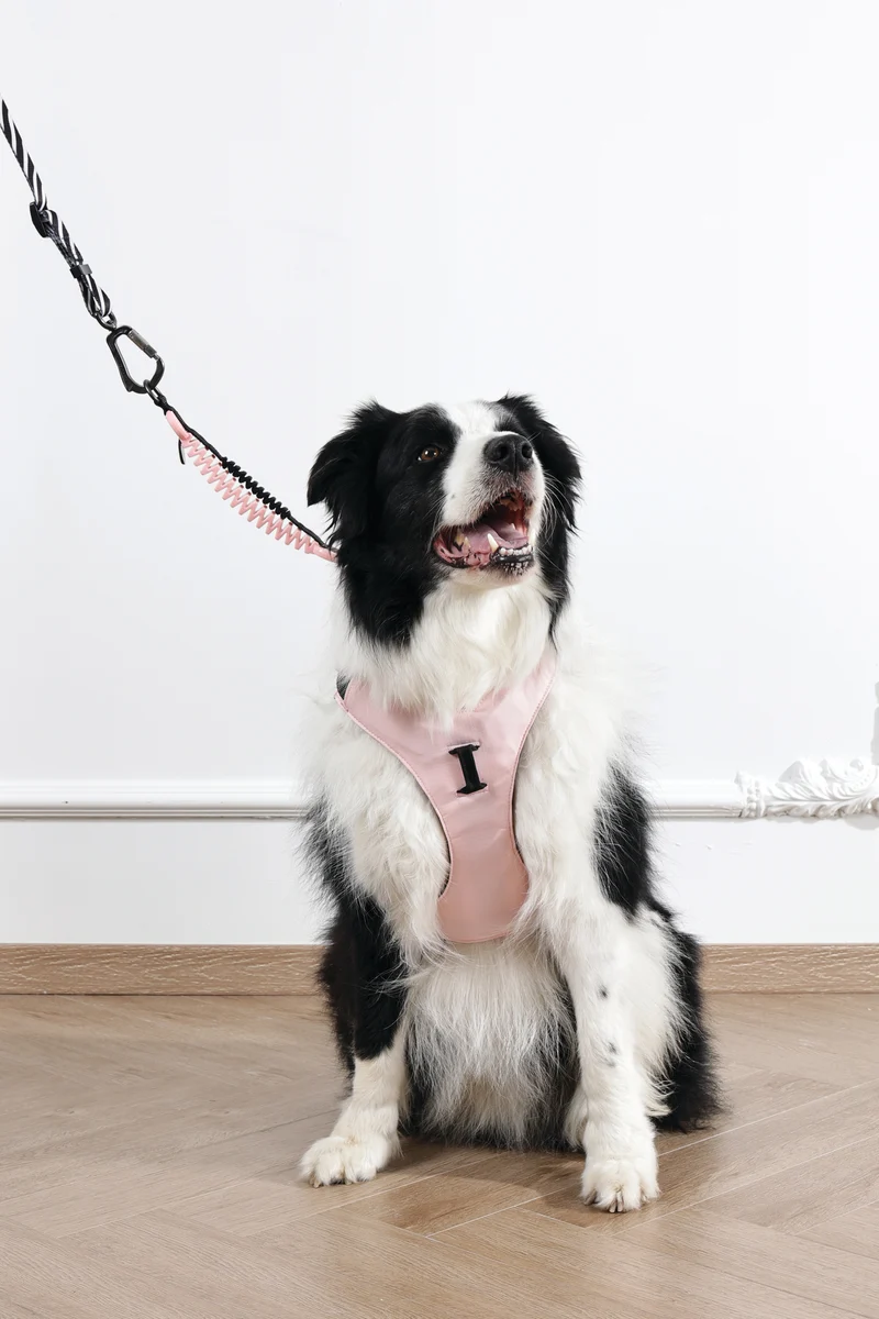 ORIGAMI Dog Harness cherry fold