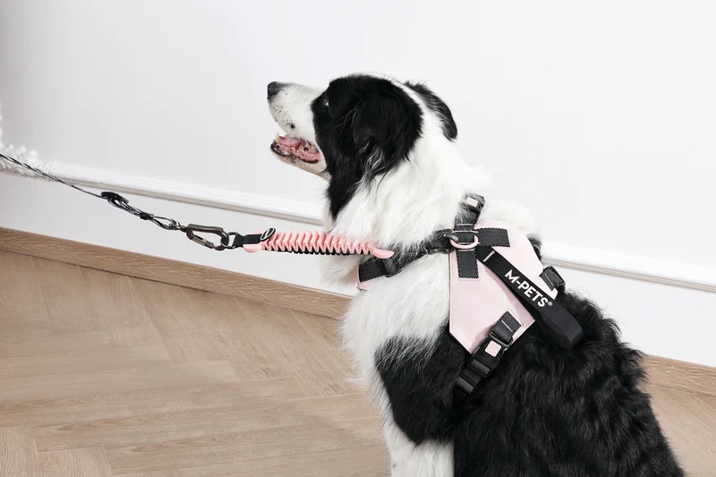 ORIGAMI Dog Harness cherry fold