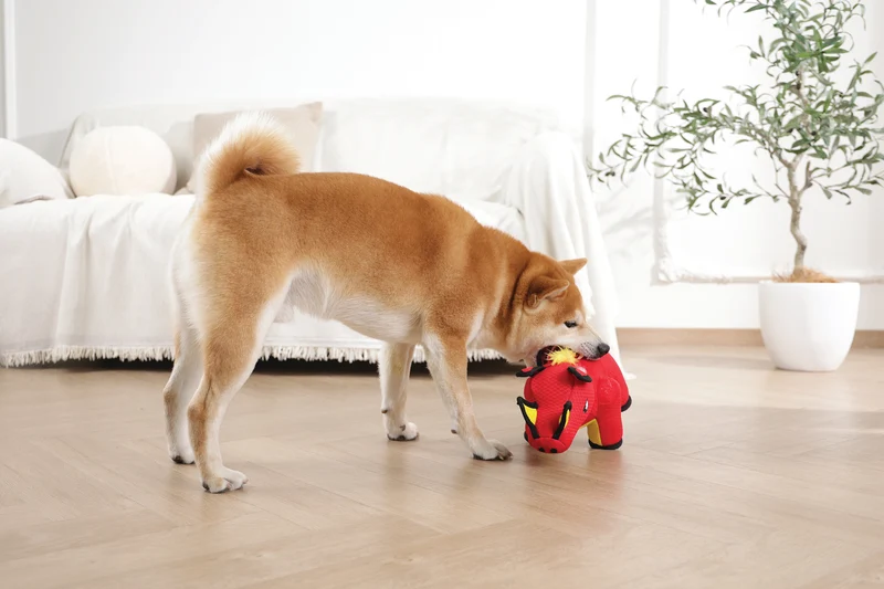 MEGA Dog toy Wild boar