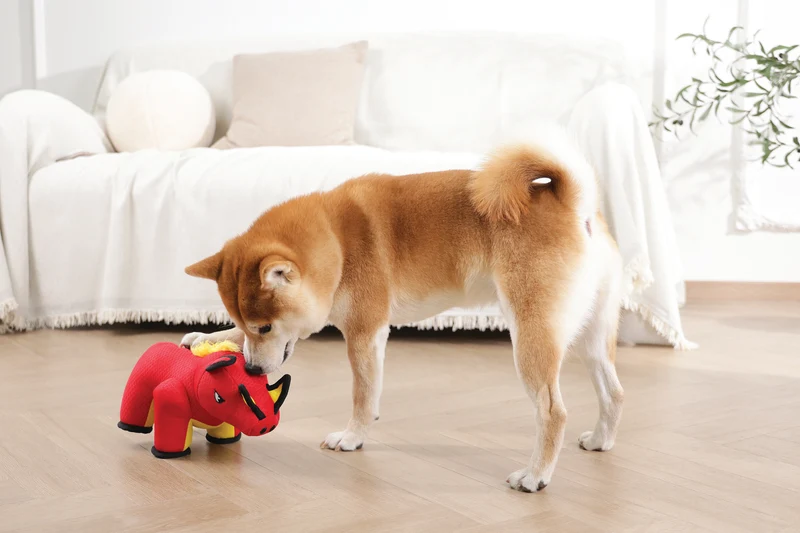MEGA Dog toy Wild boar