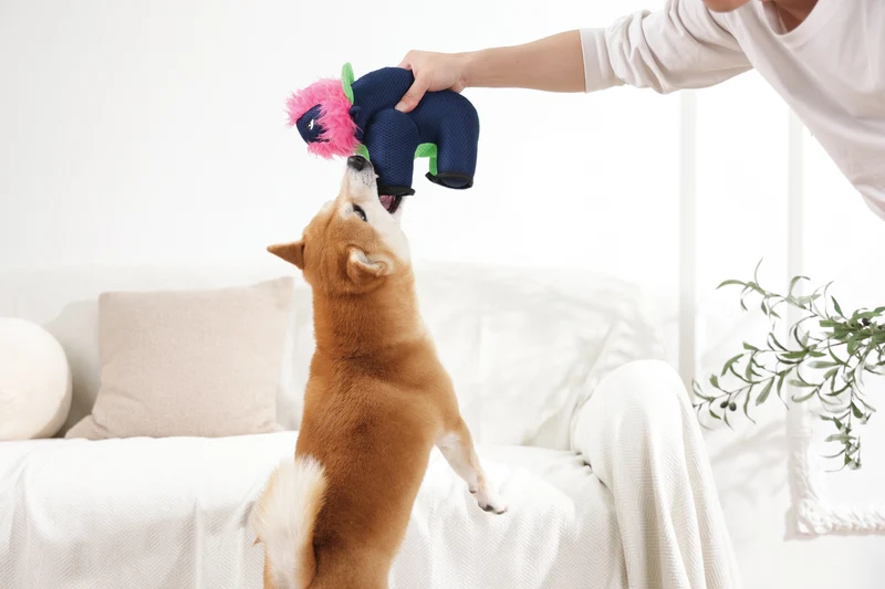 MEGA Dog toy Buffalo